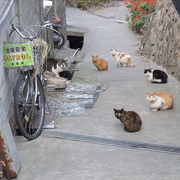 朝イチの会議に出ようと思ったら……