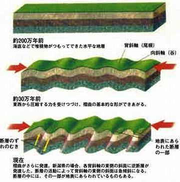 日本列島は、年に1センチずつ東西に縮んでるんだって