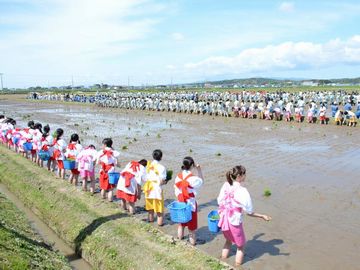 全校田植え大会の様子。5学科対抗戦だそうです。良かですなぁ。
