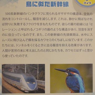 鳥に似た新幹線