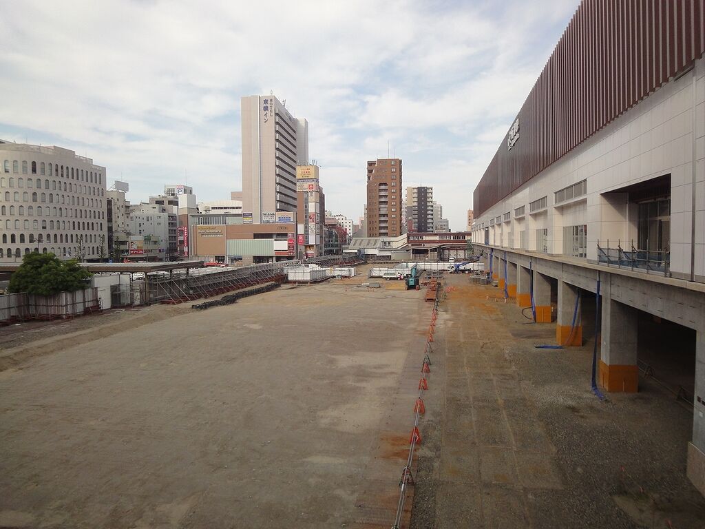 アリって面白いよね