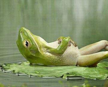 水面に叩きつけられて、下手すりゃ即死です