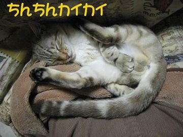 年中、掻いてなきゃならん