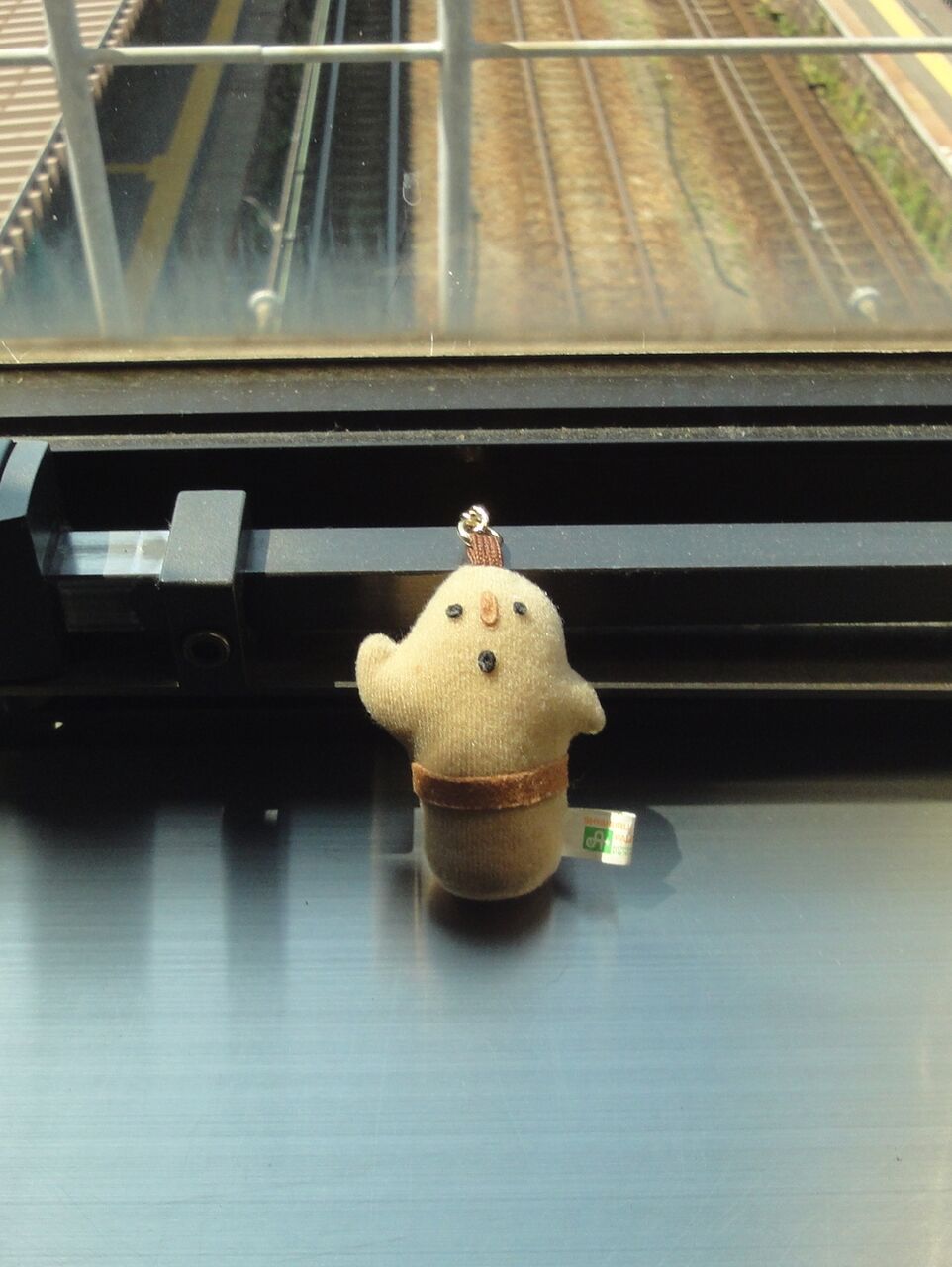 ここなら起きて撮れる