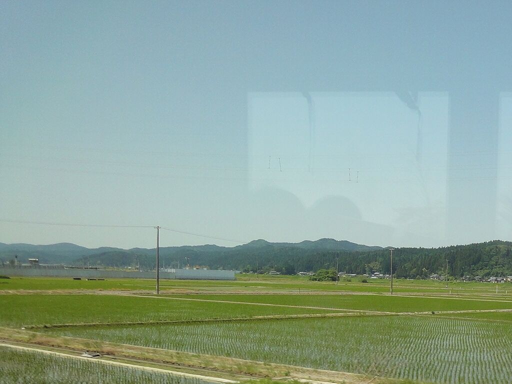 田んぼが開けてきた