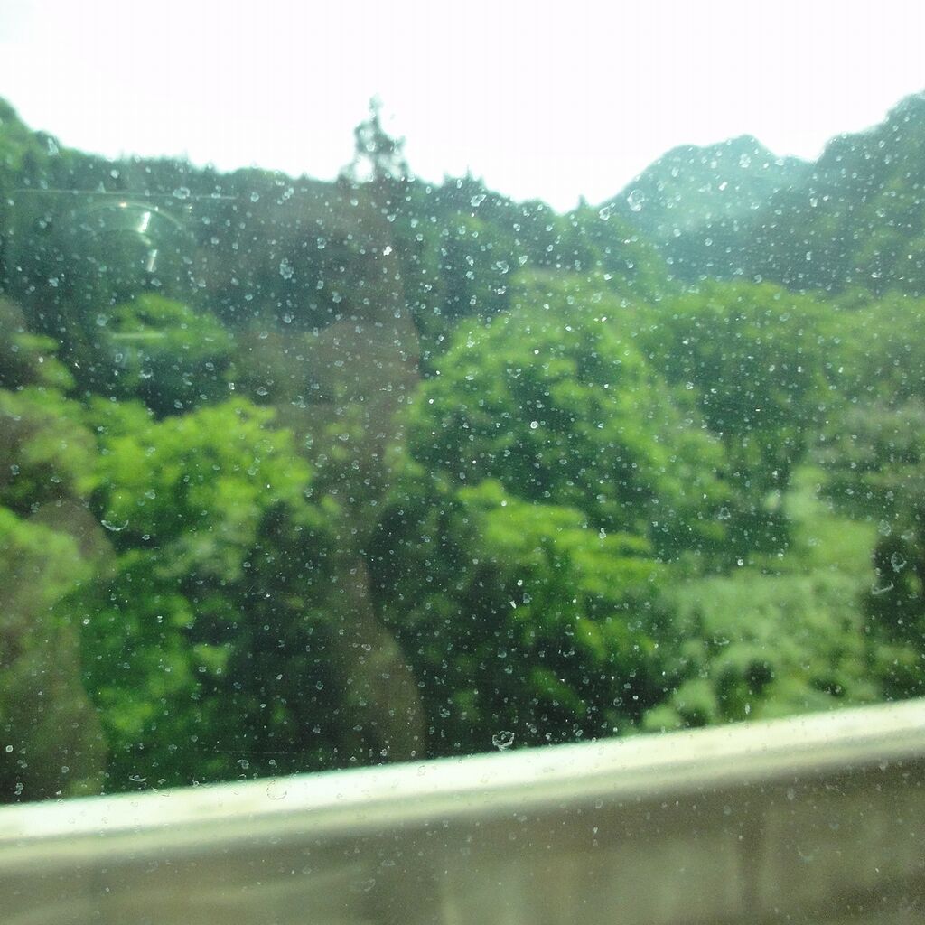 げっ、雨だ