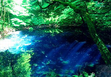 青池の色は、尋常じゃないですね