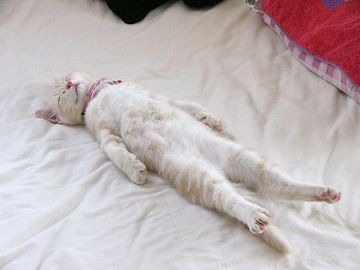 ベッドに寝転び、痛い腰を伸ばします
