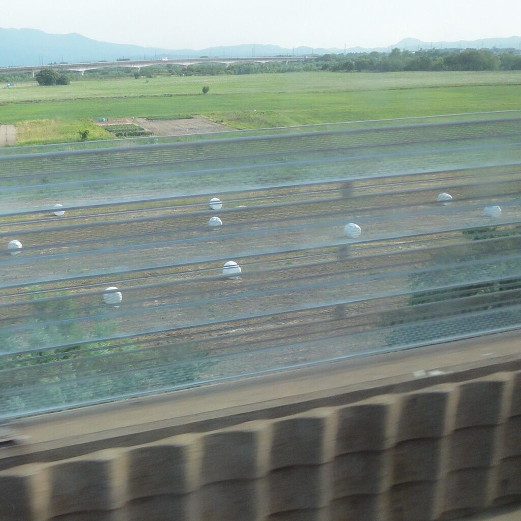 なんだ、あのキノコみたいなの?