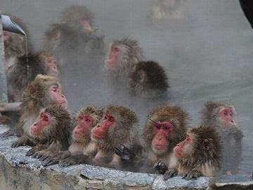 浴衣に着替える前に、ひとっ風呂浴びませんか?