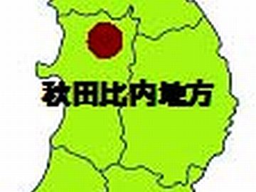 比内地方