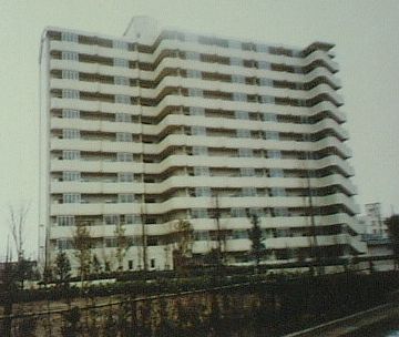 わたしの住んでる区にある市営団地です