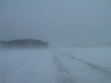 自動車のフロントガラスから撮った地吹雪。マジでパニクります。