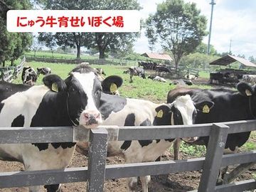 千葉の基本風景