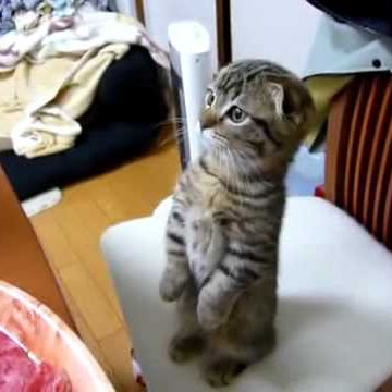 まだ、おあずけ