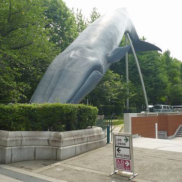 『国立科学博物館』のシンボル