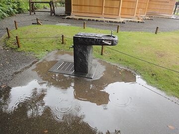 執念深く水溜まりを撮ってます