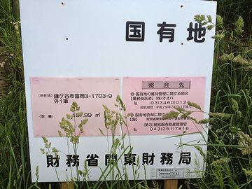 まさか、国じゃないよね?