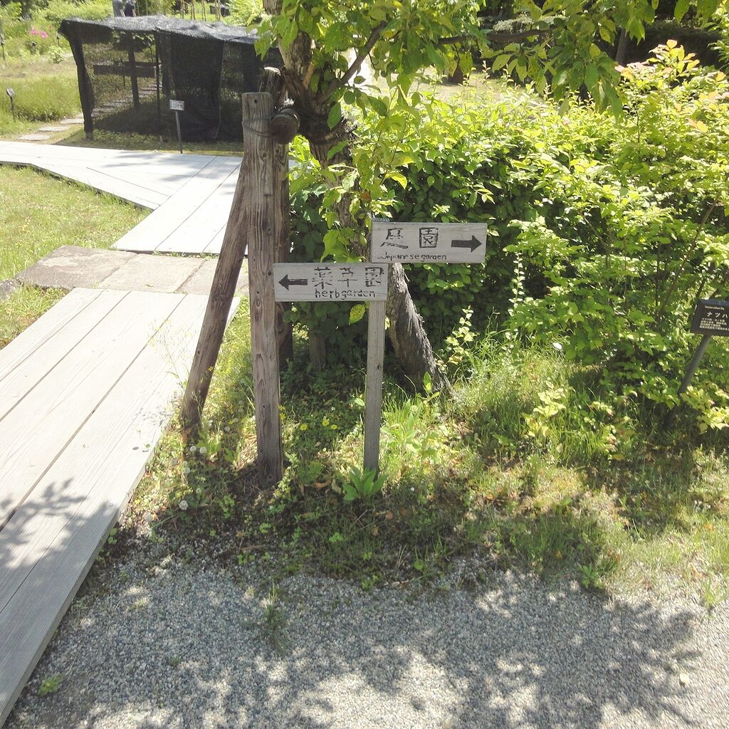 庭園と薬草園に分かれてるみたいだね