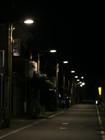 街灯が道路を照らし、道の先まで見通せました