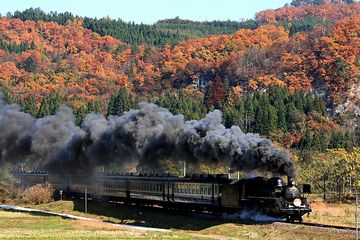 紅葉の中を走る「SLばんえつ物語」号