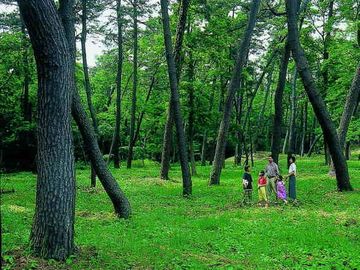 その維持は、想像以上に難しいってこと