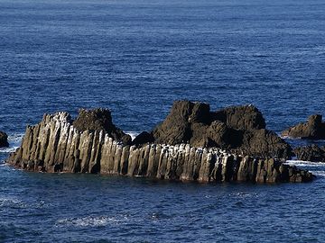 白いのは、ウミウの糞だそうです