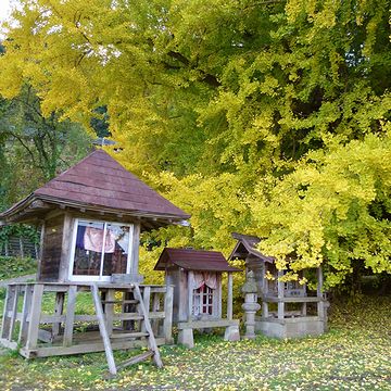 イチョウの傍らには、祠があります