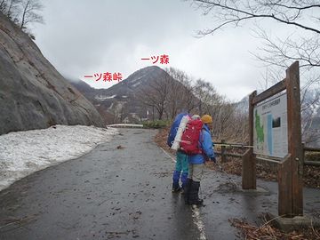 一ツ森という山の中腹です