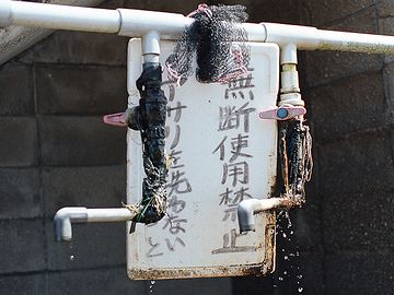 漁港か市場にでもあるんでしょうか?