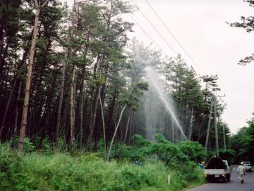 毎年、梅雨のころ、大規模な薬剤散布が行われてるみたいなんだ
