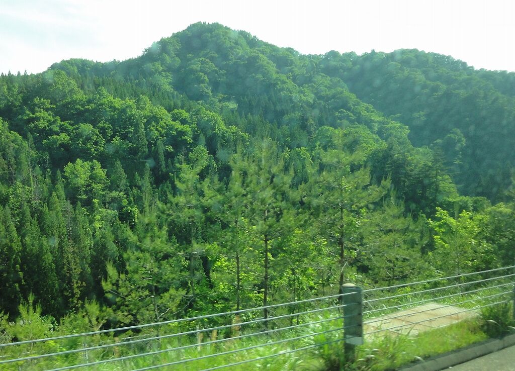 変わり映えせん景色じゃ