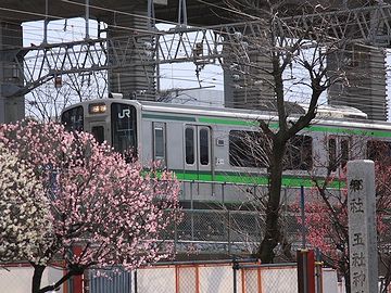 『蒲原神社』境内から撮られた写真