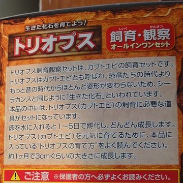 「トリオプス」とはなんぞや?