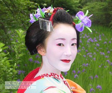 『あやめ物語』とは大違いだ