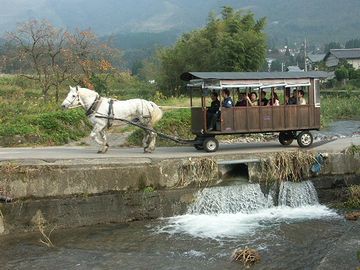 由布院「沈み橋」を渡る><br>
<br>
程なく、第一の立ち寄り場所、仏山寺に着きました。<br>
<img src=