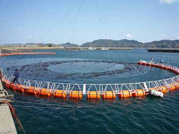 養殖筏。これは、お金がかかりますね。マグロ用のようです。