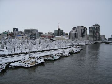 柳都大橋から、万代橋方向