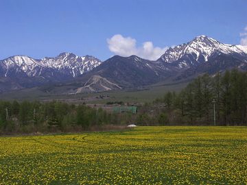 八ヶ岳の方だね