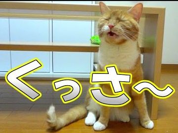 臭うから仁王門