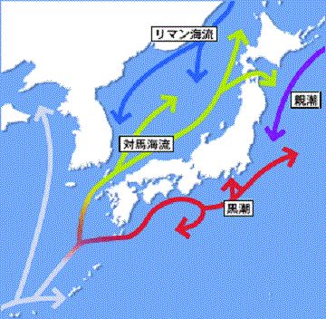 夏は、寒流が南下してるから、涼しいし