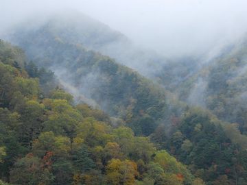 木々を隠すように山霧がかかってた記憶があります