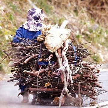 山に「柴刈り」