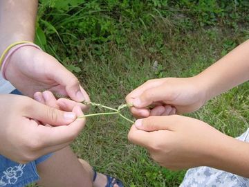 強そうな茎を探し、相手のと絡み合わせて引っ張るだけです