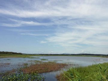 『ベンセ湿原(つがる市木造館岡野崎地内)』