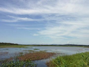 『ベンセ湿原（つがる市木造館岡野崎地内）』