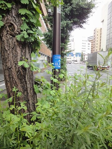管理がなっちょらんと言いたかった?