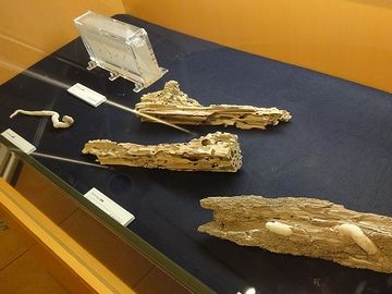 フナクイムシからシールド工法の展示