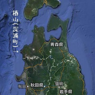 ここは、日本海側における椿の北限じゃ