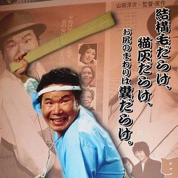 結構毛だらけ猫灰だらけ